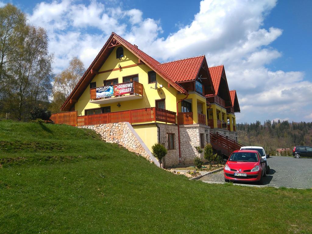 Pensjonat Zielone Wzgorze Boleslawow Stronie Śląskie Exterior foto